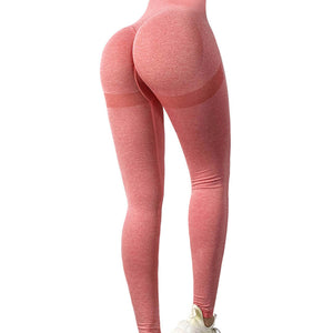Seamless Vital Shaper Leggings